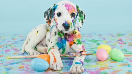 Colorful Dalmatian Puppy with Easter Eggs and Art wallpaper