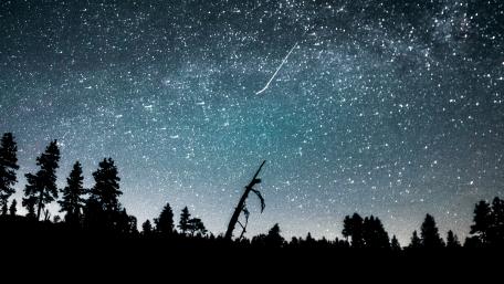 Starry Night Serenity wallpaper