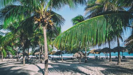 A perfect Caribbean beach with palm trees in Varadero, Cuba wallpaper