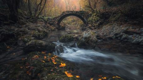 Autumn Serenity in Nature’s Embrace wallpaper