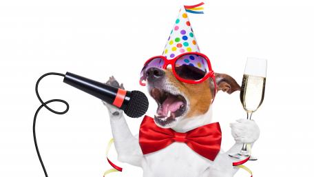 Celebratory Jack Russell Terrier with Sunglasses and Champagne wallpaper