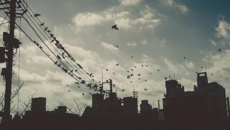 Daylight wallpaper