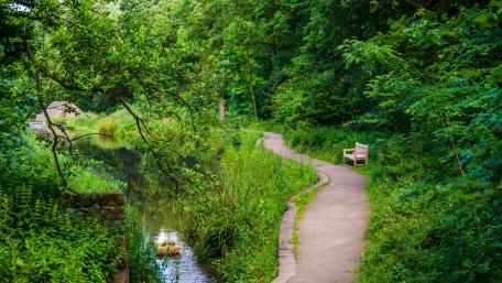 Serene Pathway by the Pond for Relaxation wallpaper