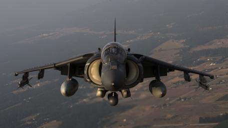 Harrier wallpaper