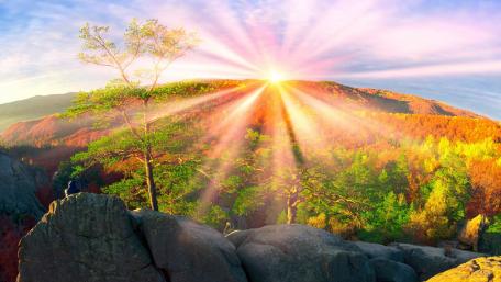 Vibrant Autumn Sunlight Over Mountain View wallpaper