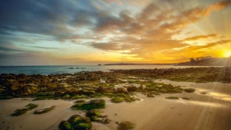Golden Rays on a Serene Beach Shore wallpaper