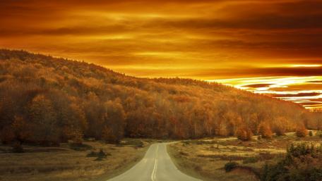 Golden Road Through Autumn Hillside at Sunset wallpaper