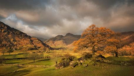 Autumn Serenity in Nature's Embrace wallpaper