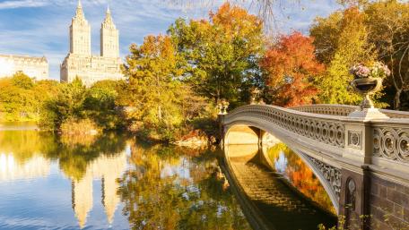 Bow Bridge Central Park wallpaper