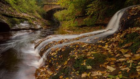 Serene Forest Creek with Flowing Waterfall wallpaper