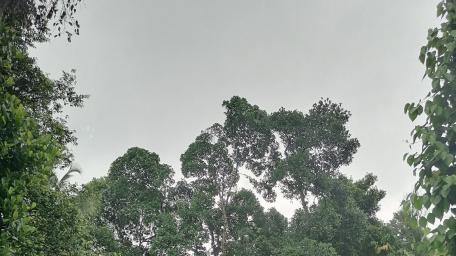Before the rain wallpaper