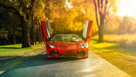 Lamborghini Aventador in Nature's Splendor wallpaper