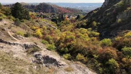 Hills of Budaörs at fall wallpaper