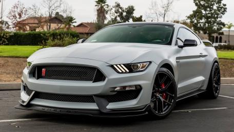 Sleek and Powerful Shelby Mustang Wallpaper wallpaper