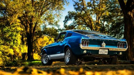 Classic Blue Vintage Car Amidst Autumn Trees wallpaper