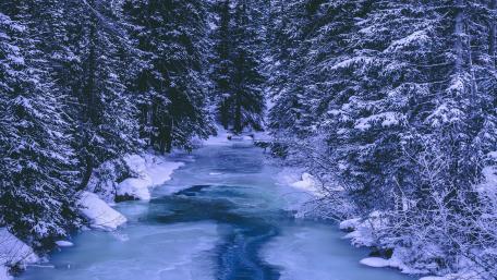 Tranquil Frozen River in a Winter Forest wallpaper