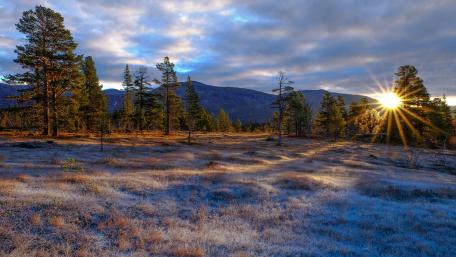 Serene Sunlit Landscape Awaits You wallpaper