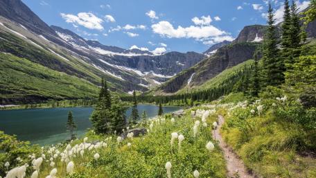 Serenity in Springtime Blissful Nature Escape wallpaper
