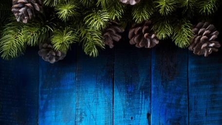 Festive Pine and Blue Christmas Vibe wallpaper