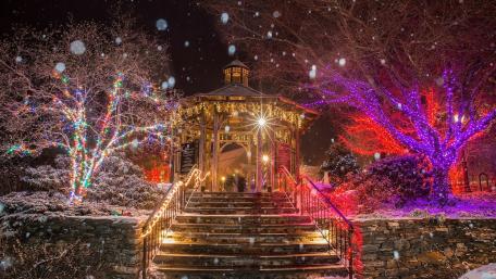 Enchanting Christmas Lights in the City wallpaper
