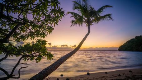 Tropical Serenity at Dusk wallpaper