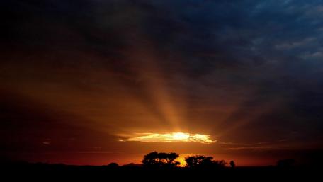Last rays of sun wallpaper