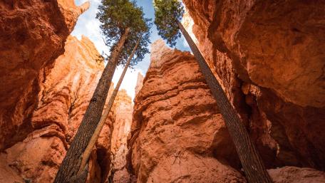 Bryce Canyon National Park wallpaper