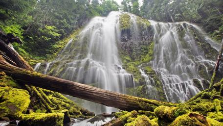Willamette National Forest wallpaper