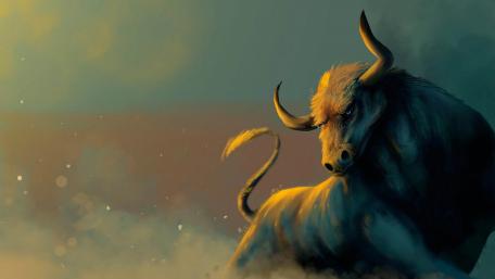 Wild bull wallpaper