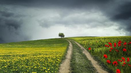 Country road wallpaper