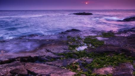 Serene Purple Seascape at Sunset wallpaper