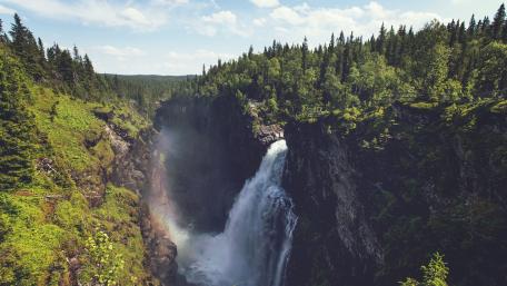 Majestic Waterfall in Lush Forest Surroundings wallpaper