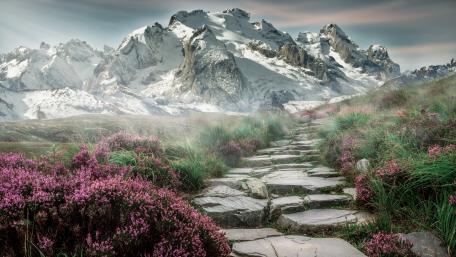 Serene Spring Mountain Pathway wallpaper