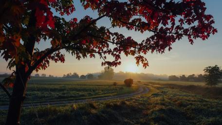 Autumn Sunrise Over Serene Fields wallpaper