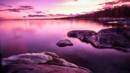 Serene Purple Reflections in Nature wallpaper