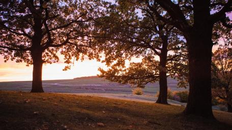 Autumn Twilight Serenity in Nature wallpaper