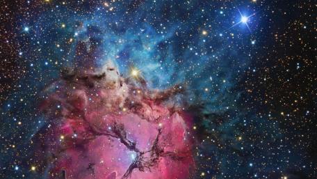 Cosmic Blossom in a Starry Universe wallpaper
