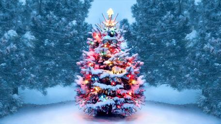 Enchanted Snow-Covered Christmas Tree wallpaper