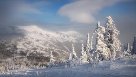 Winter Wonderland in Snowy Peaks wallpaper