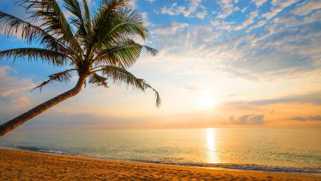 Tropical Sunset Splendor wallpaper