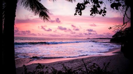 Purple Horizon Over Tranquil Beach wallpaper