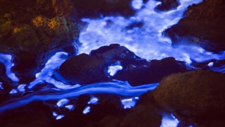 Blue Lava wallpaper