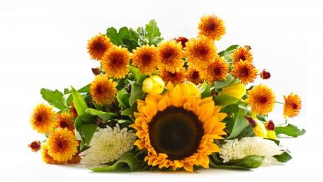 Vibrant Sunflower Symphony in 8K Clarity wallpaper