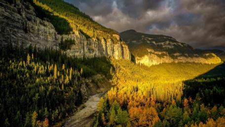 Golden Autumn Valley Pathway in Nature's Embrace wallpaper