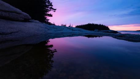 Purple Serenity at Dusk wallpaper