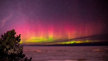 Aurora Borealis in a Starry Pink Night Sky wallpaper