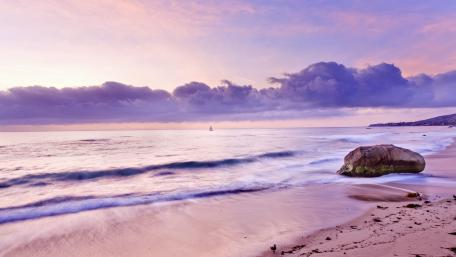 Purple Serenity at the Shoreline wallpaper