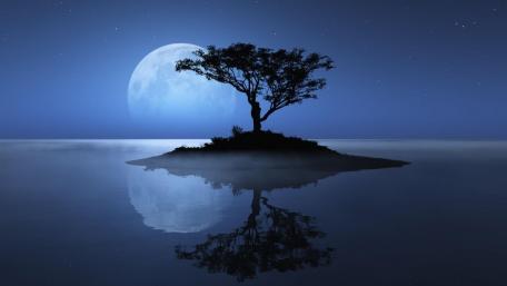 Island in the full moon wallpaper