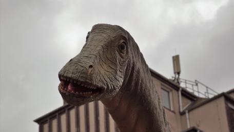 Dinos in Dino City Bochum wallpaper
