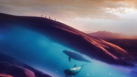Whales Beneath the Surreal Landscape wallpaper